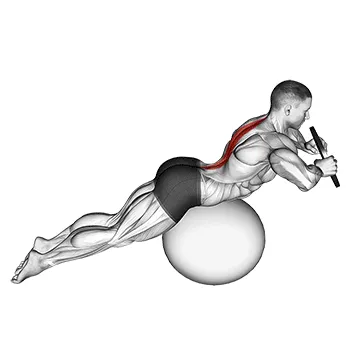 Animated demonstration: weighted hyperextension (on stability ball) — target spine