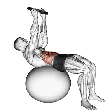 Animated demonstration: weighted overhead crunch (on stability ball) — target abs