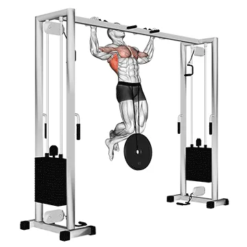 Animated demonstration: weighted pull-up — target lats