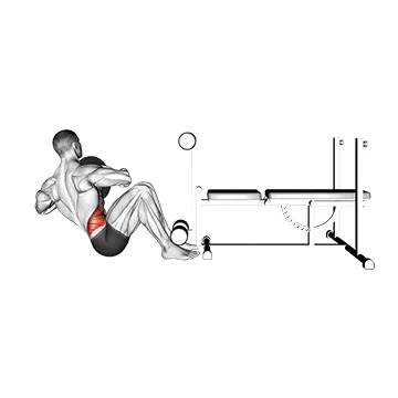 Animated demonstration: weighted russian twist — target abs