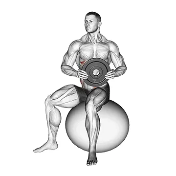 Animated demonstration: weighted seated twist (on stability ball) — target abs