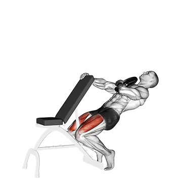 Animated demonstration: weighted sissy squat — target quads