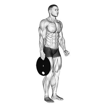 Animated demonstration: weighted standing hand squeeze — target forearms