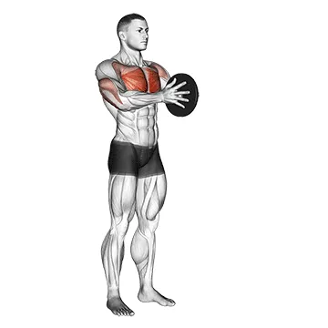 Animated demonstration: weighted svend press — target pectorals