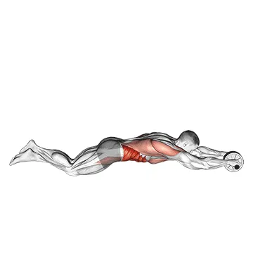 Animated demonstration: wheel rollerout — target abs
