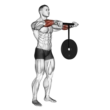 Animated demonstration: wrist rollerer — target forearms