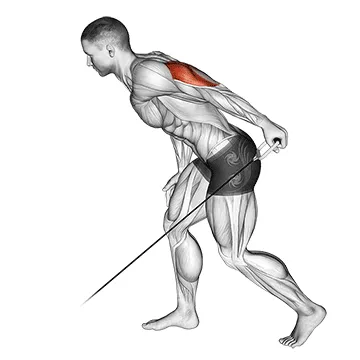 Animated demonstration: cable kickback — target triceps