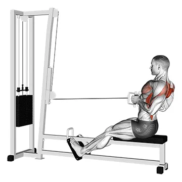 Animated demonstration: cable seated row — target upper back