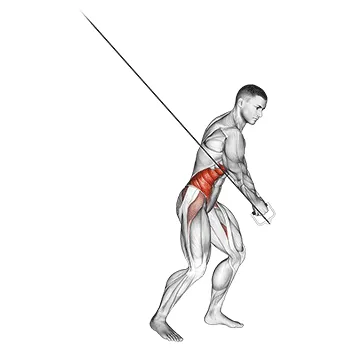 Animated demonstration: cable twist (up-down) — target abs