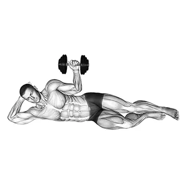 Animated demonstration: dumbbell lying external shoulder rotation — target delts