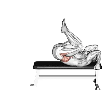 Animated demonstration: lying leg-hip raise — target abs