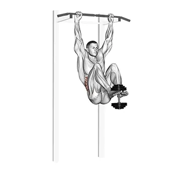 Animated demonstration: weighted hanging leg-hip raise — target abs
