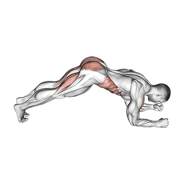 Animated demonstration: butt-ups — target abs