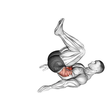 Animated demonstration: reverse crunch — target abs
