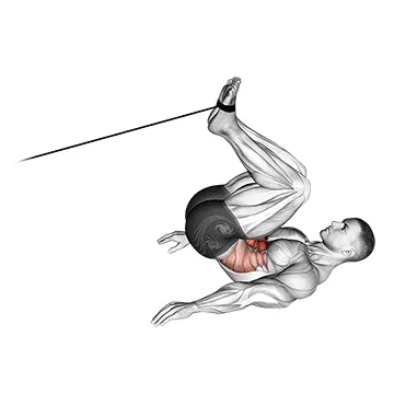Animated demonstration: cable reverse crunch — target abs