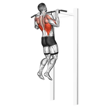Animated demonstration: band assisted pull-up — target lats