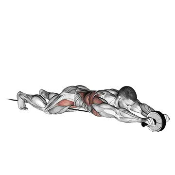 Animated demonstration: band assisted wheel rollerout — target abs