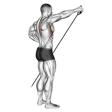 Animated demonstration: band front lateral raise — target delts