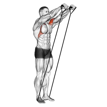 Animated demonstration: band front raise — target delts