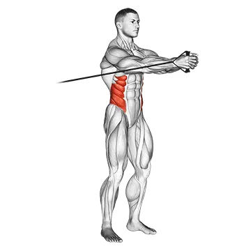 Animated demonstration: band horizontal pallof press — target abs