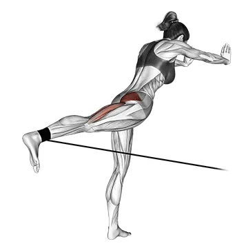 Animated demonstration: band bent-over hip extension — target glutes