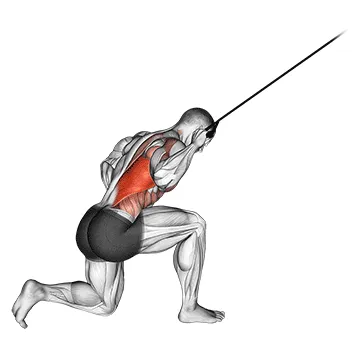 Animated demonstration: band kneeling one arm pulldown — target lats