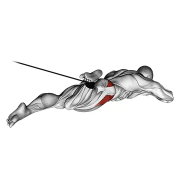 Animated demonstration: band lying hip internal rotation — target glutes
