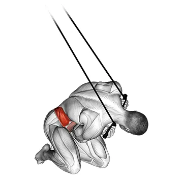 Animated demonstration: band kneeling twisting crunch — target abs