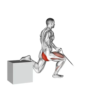 Animated demonstration: band one arm single leg split squat — target quads