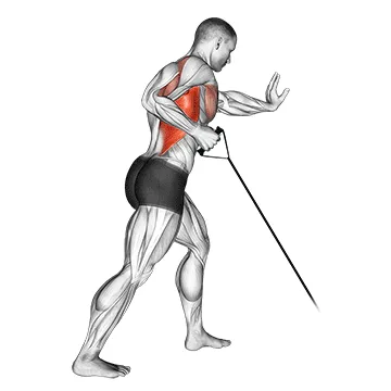Animated demonstration: band one arm standing low row — target upper back
