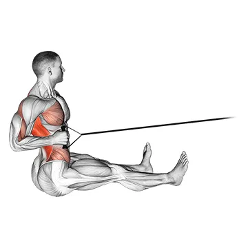 Animated demonstration: band one arm twisting seated row — target upper back