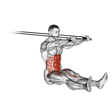 Animated demonstration: band push sit-up — target abs