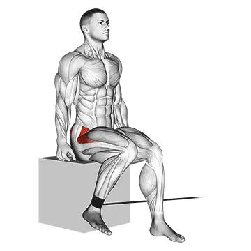 Animated demonstration: band seated hip internal rotation — target glutes