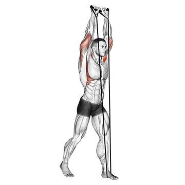 Animated demonstration: band shoulder press — target delts