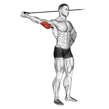 Animated demonstration: band side triceps extension — target triceps