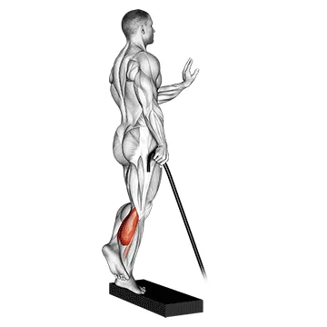 Animated demonstration: band single leg calf raise — target calves