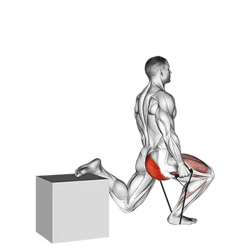 Animated demonstration: band single leg split squat — target quads