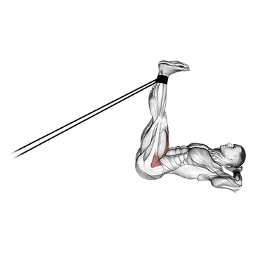Animated demonstration: band lying straight leg raise — target abs