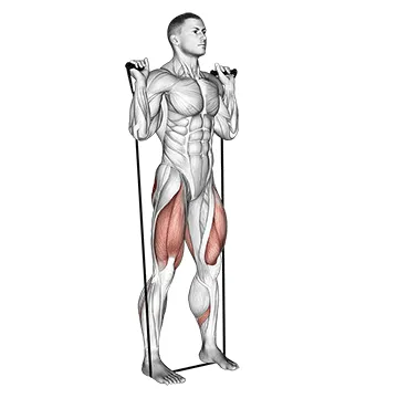 Animated demonstration: band squat — target glutes