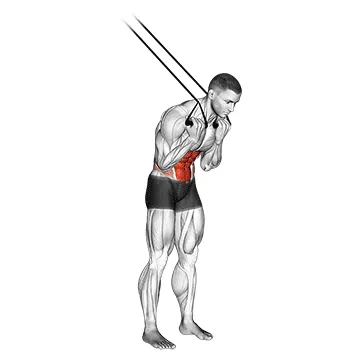 Animated demonstration: band standing crunch — target abs