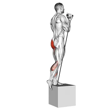 Animated demonstration: band step-up — target glutes