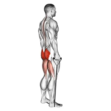 Animated demonstration: band stiff leg deadlift — target glutes