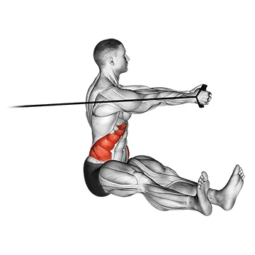 Animated demonstration: band seated twist — target abs