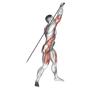 Animated demonstration: band twisting overhead press — target delts