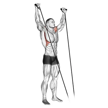Animated demonstration: band y-raise — target delts