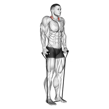 Animated demonstration: band shrug — target traps