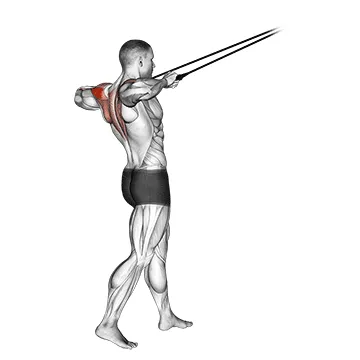 Animated demonstration: band standing rear delt row — target delts