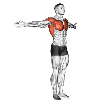 Animated demonstration: dynamic chest stretch (male) — target pectorals