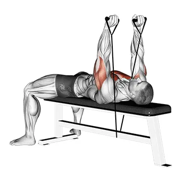 Animated demonstration: band bench press — target pectorals
