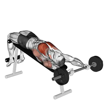 Animated demonstration: barbell decline pullover — target pectorals